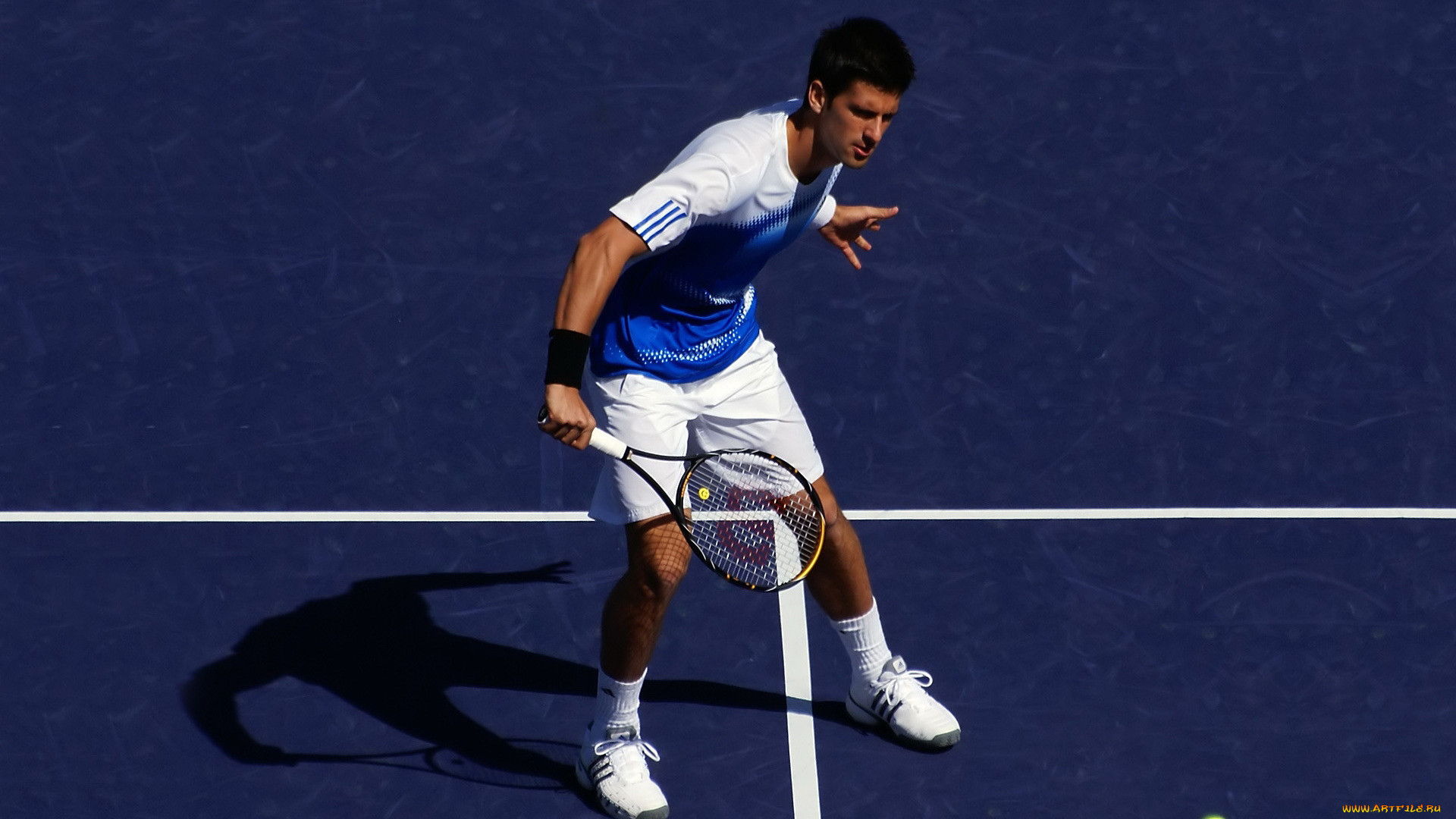 , , novak, djokovic